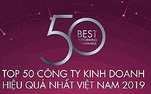 Vietnam Enterprise Top 50 Performer